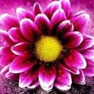 Meet your Posher, Renee